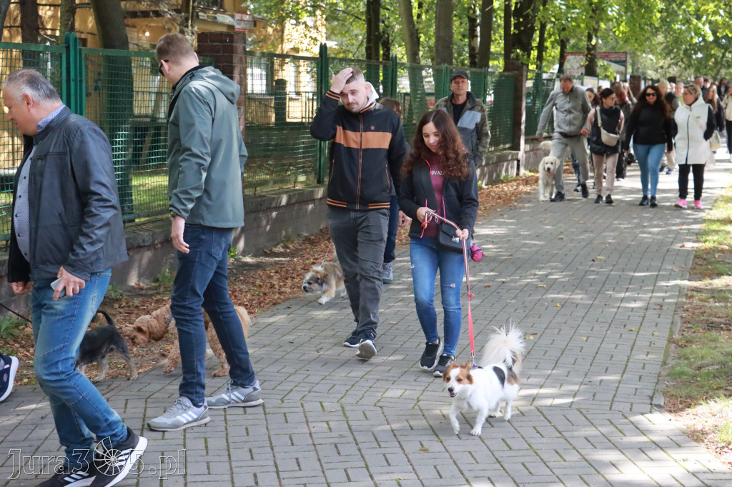 Fotorelacja: Parada Psów w Zawierciu.