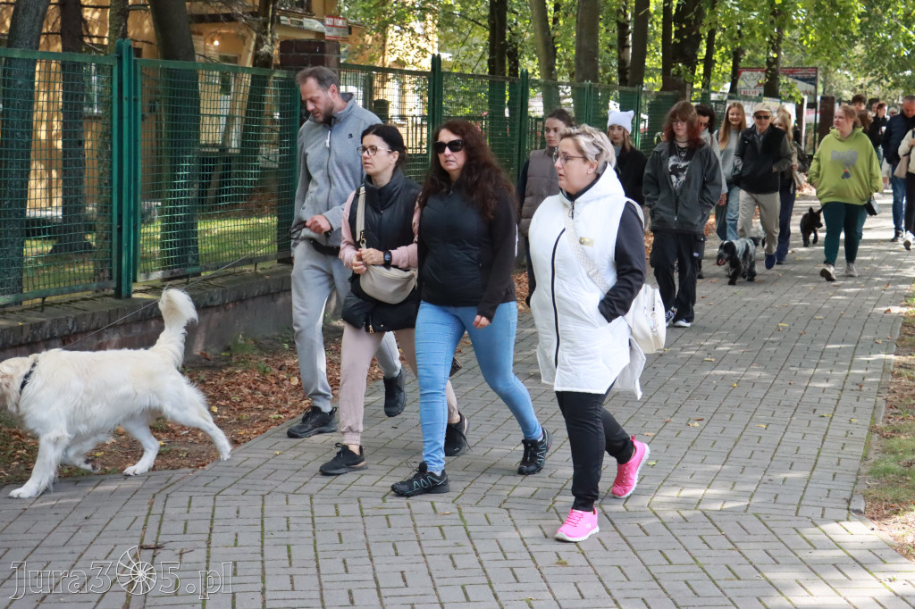 Fotorelacja: Parada Psów w Zawierciu.