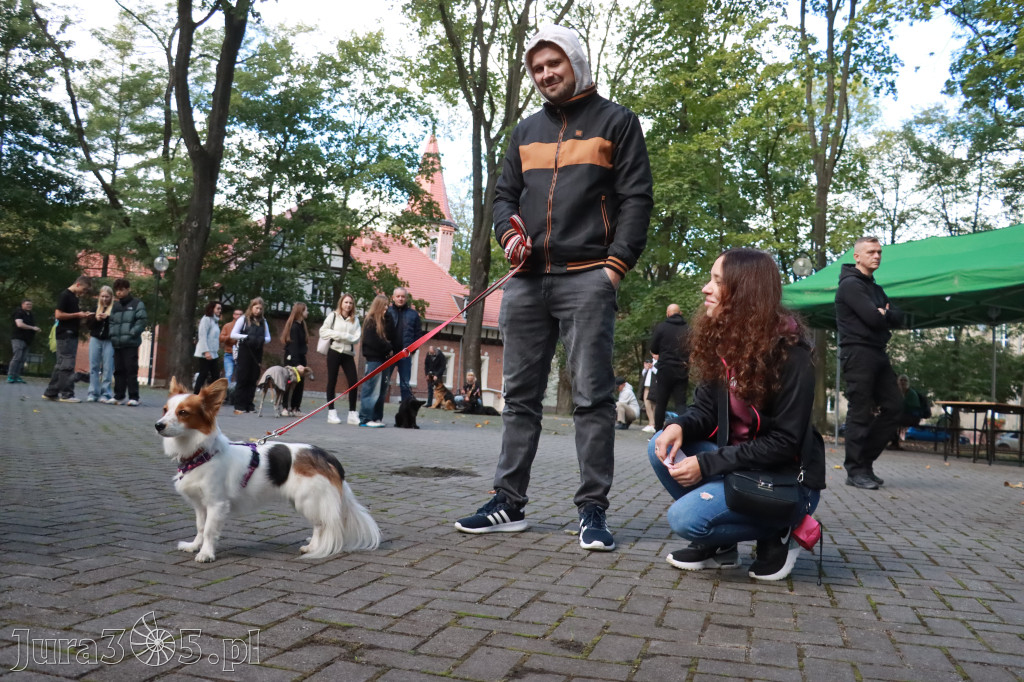 Fotorelacja: Parada Psów w Zawierciu.