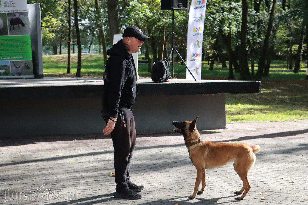 Fotorelacja: Parada Psów w Zawierciu.