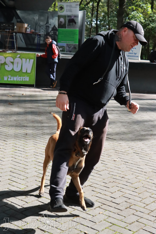 Fotorelacja: Parada Psów w Zawierciu.