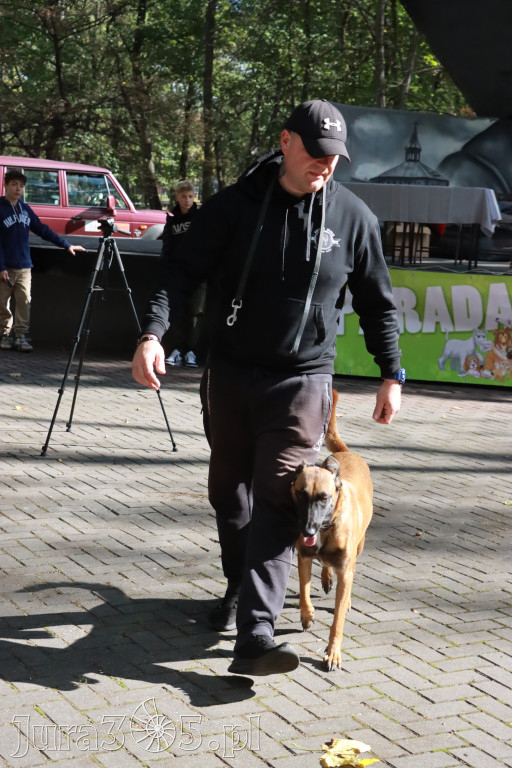 Fotorelacja: Parada Psów w Zawierciu.