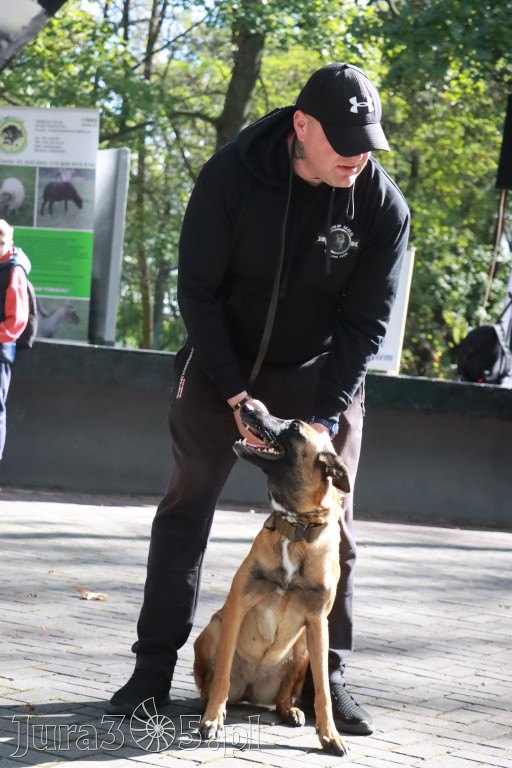 Fotorelacja: Parada Psów w Zawierciu.