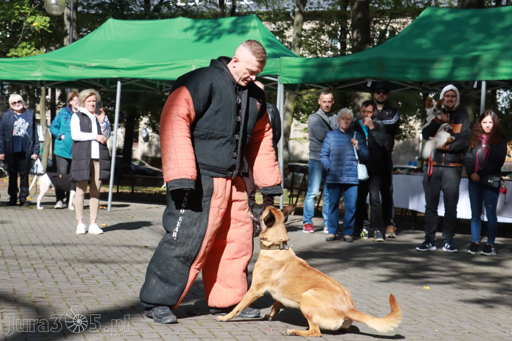 Fotorelacja: Parada Psów w Zawierciu.