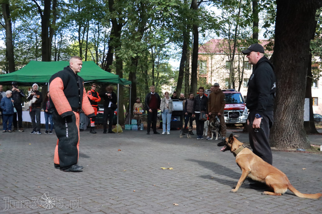 Fotorelacja: Parada Psów w Zawierciu.