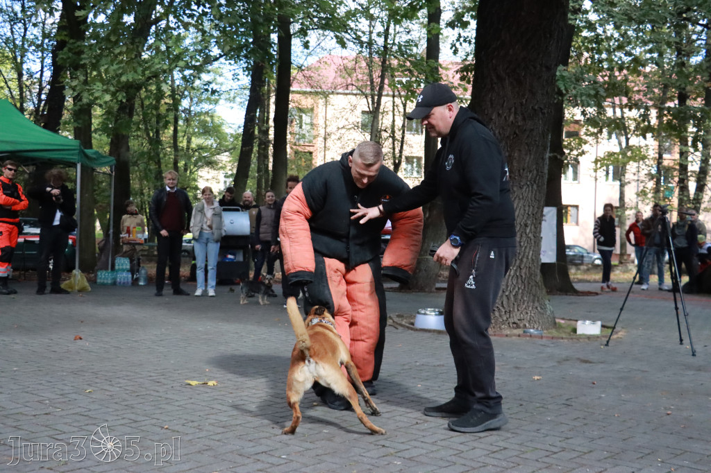 Fotorelacja: Parada Psów w Zawierciu.