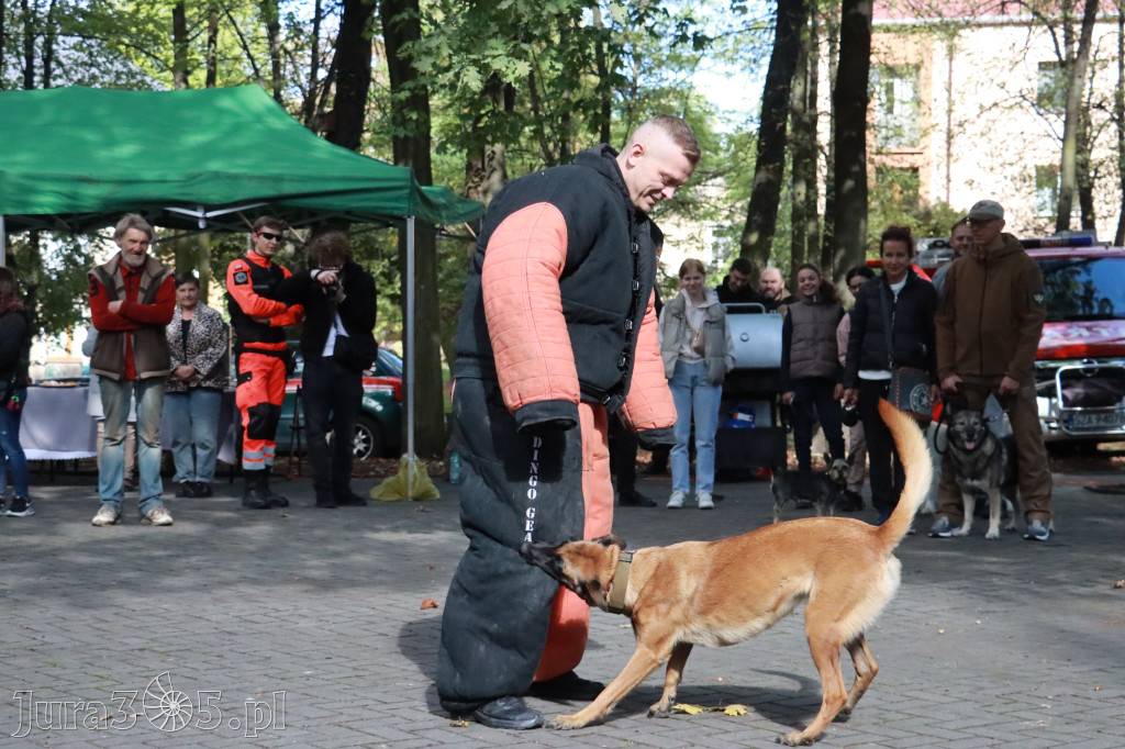 Fotorelacja: Parada Psów w Zawierciu.