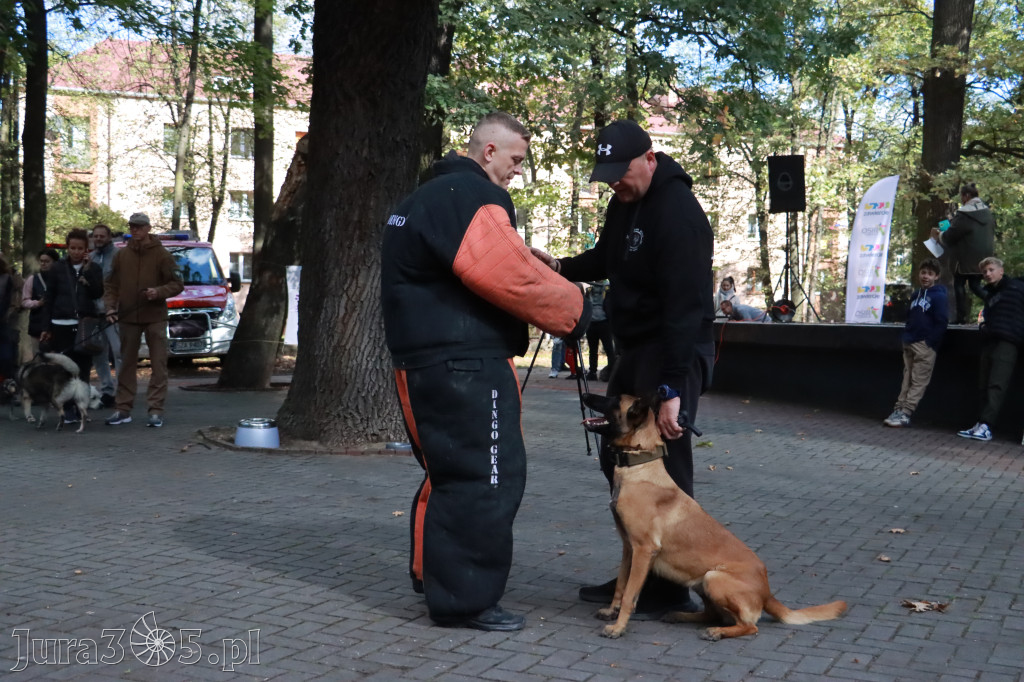 Fotorelacja: Parada Psów w Zawierciu.