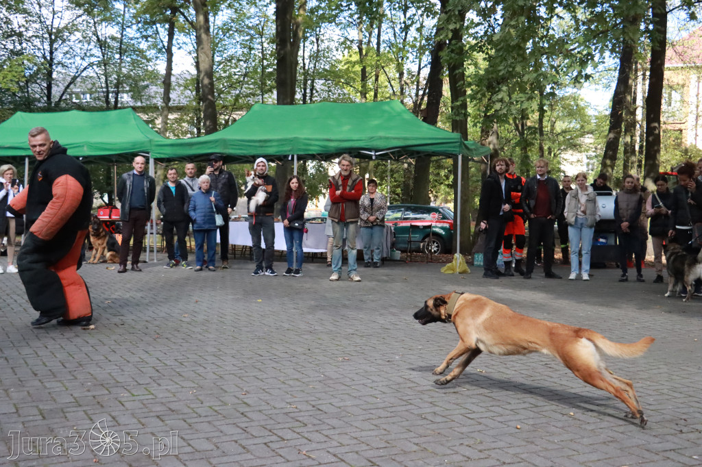 Fotorelacja: Parada Psów w Zawierciu.
