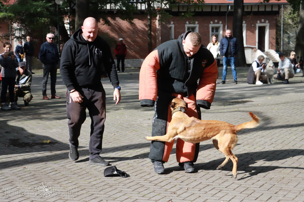 Fotorelacja: Parada Psów w Zawierciu.