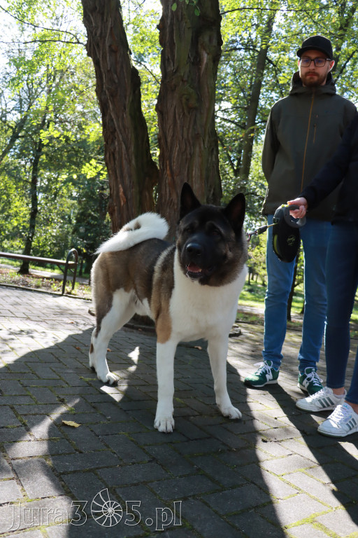 Fotorelacja: Parada Psów w Zawierciu.
