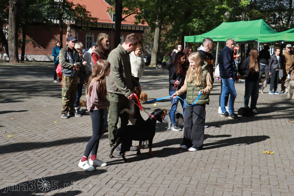 Fotorelacja: Parada Psów w Zawierciu.