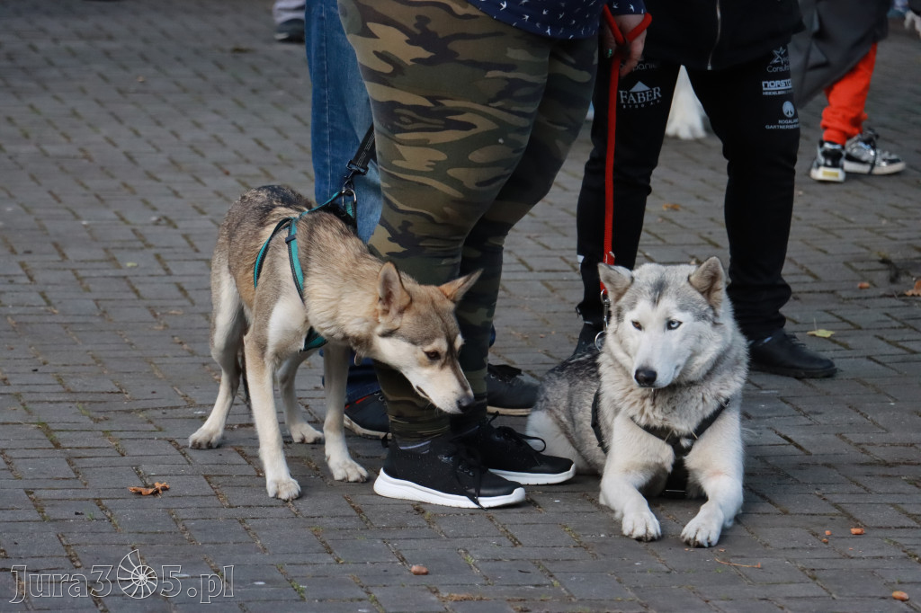 Fotorelacja: Parada Psów w Zawierciu.