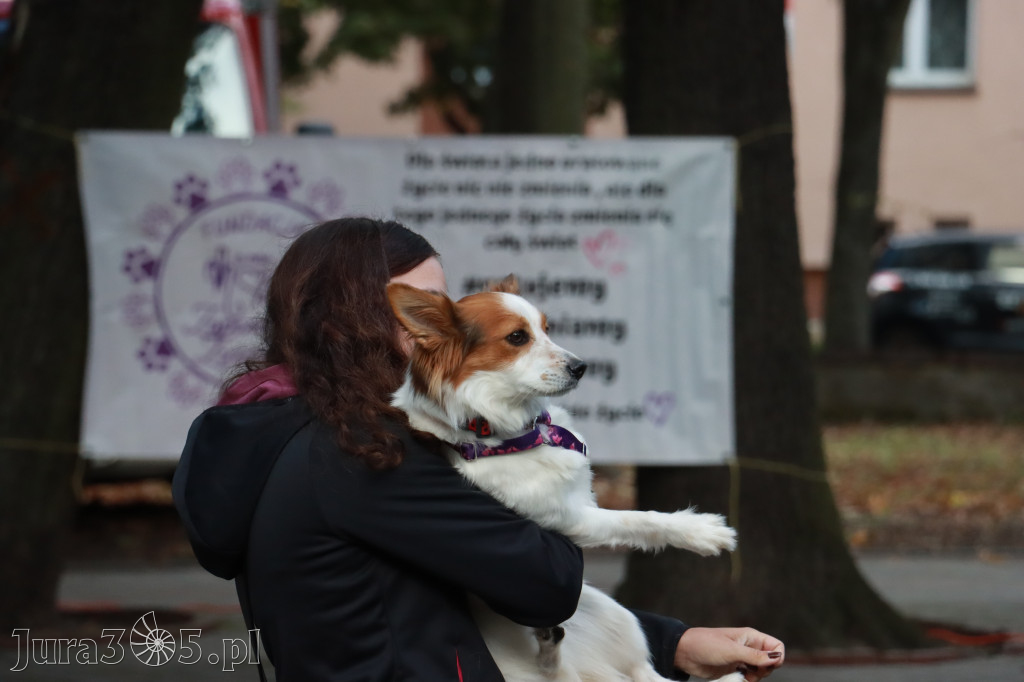 Fotorelacja: Parada Psów w Zawierciu.