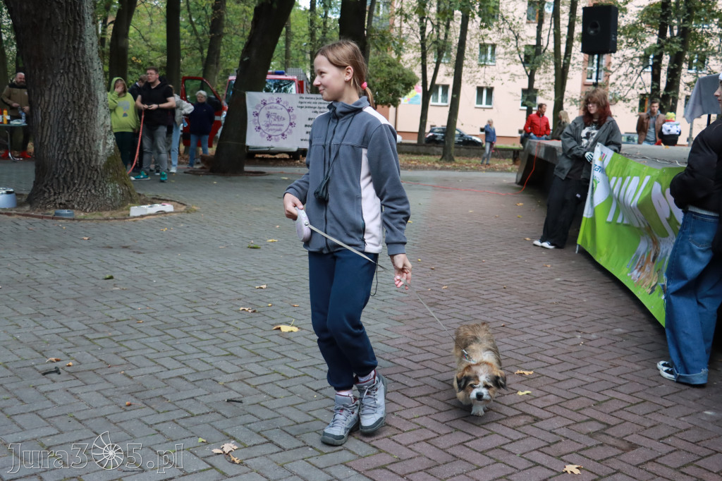 Fotorelacja: Parada Psów w Zawierciu.