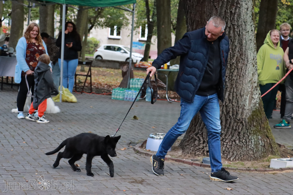 Fotorelacja: Parada Psów w Zawierciu.