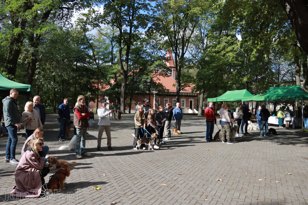 Fotorelacja: Parada Psów w Zawierciu.