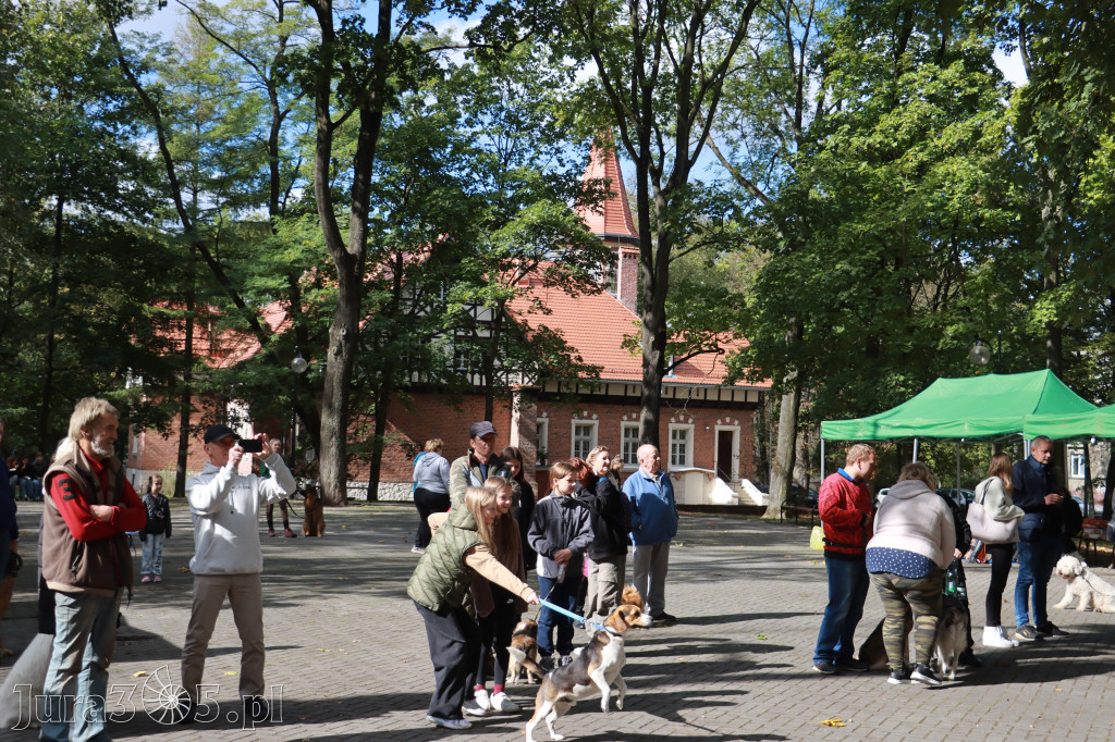 Fotorelacja: Parada Psów w Zawierciu.