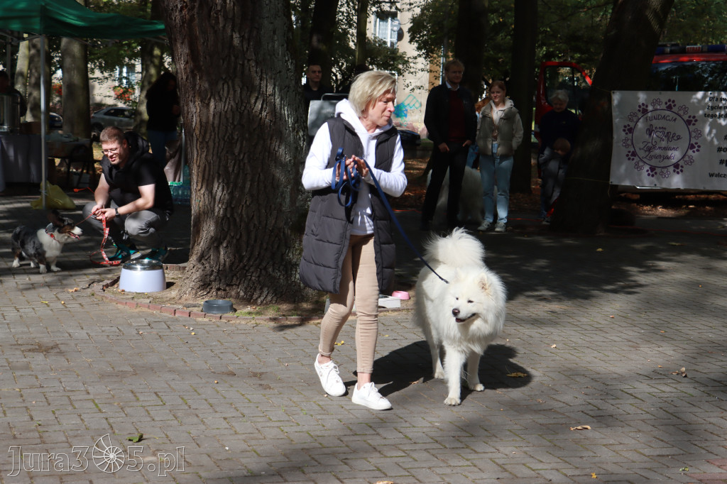 Fotorelacja: Parada Psów w Zawierciu.