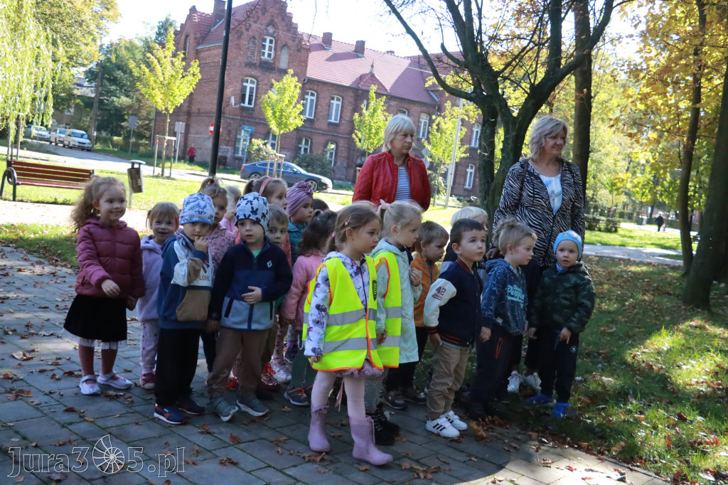 Fotorelacja: Światowy Dzień Drzewa w Zawierciu