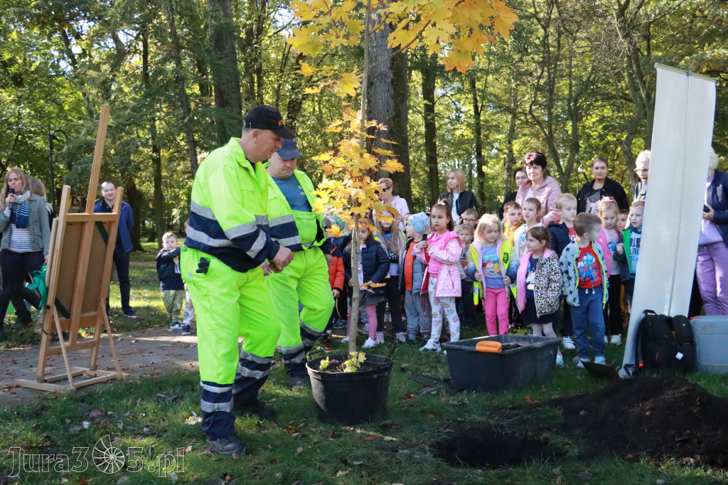 Fotorelacja: Światowy Dzień Drzewa w Zawierciu