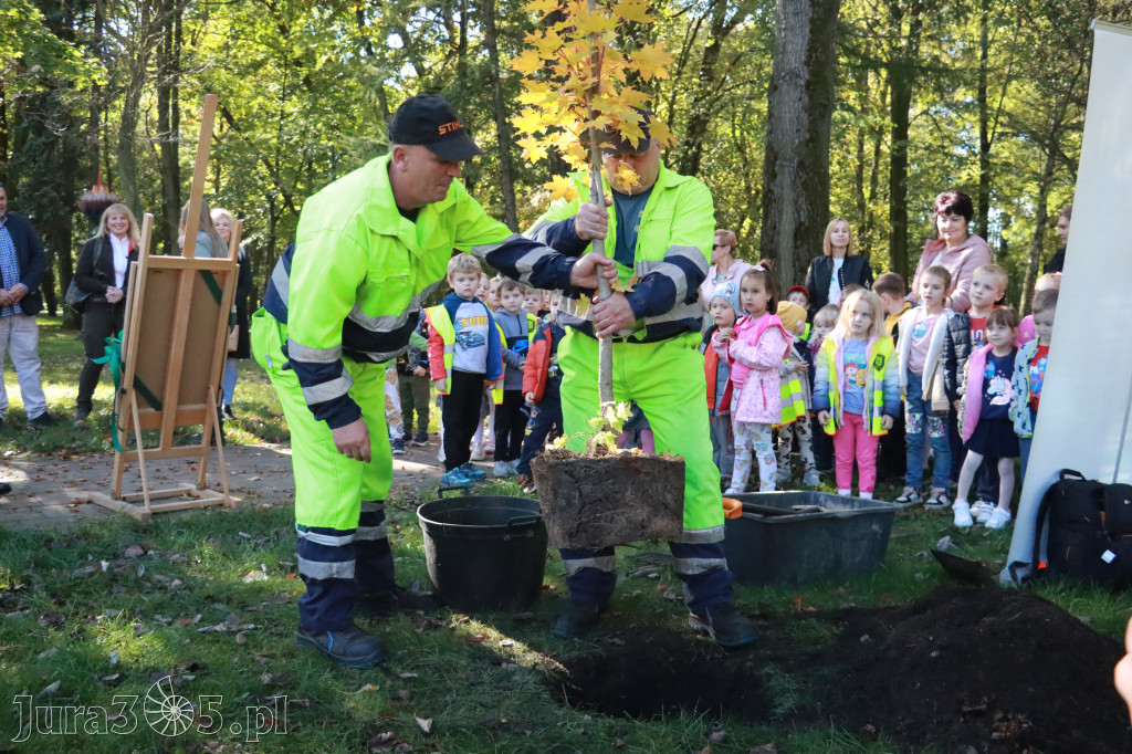 Fotorelacja: Światowy Dzień Drzewa w Zawierciu