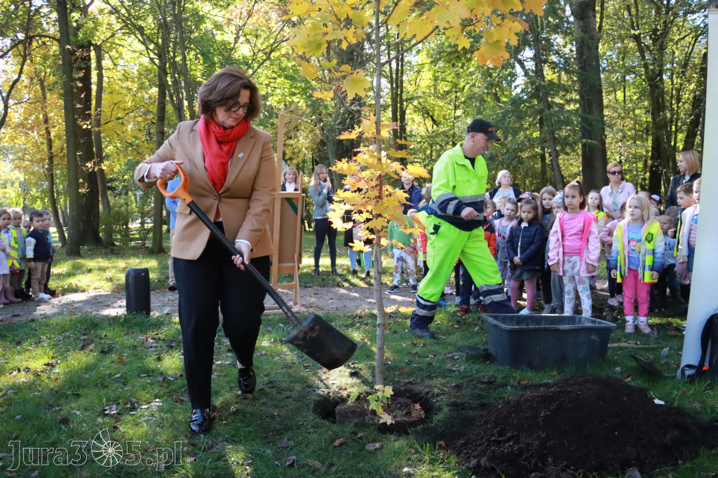 Fotorelacja: Światowy Dzień Drzewa w Zawierciu