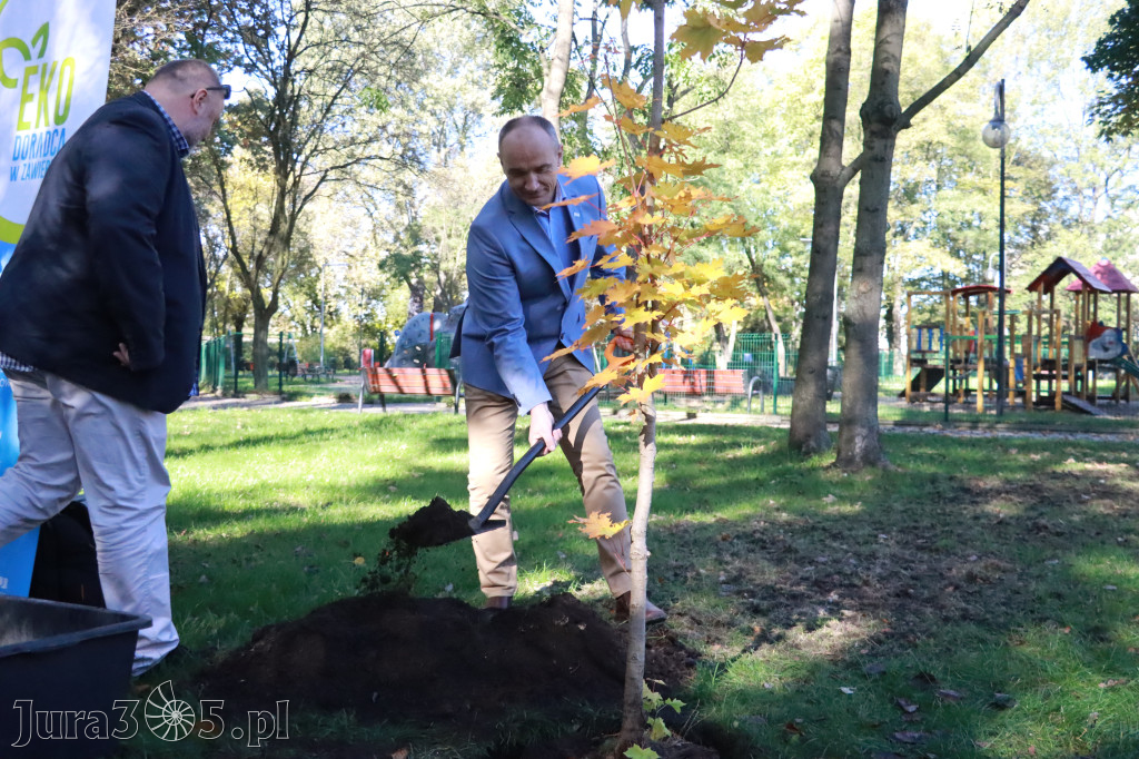 Fotorelacja: Światowy Dzień Drzewa w Zawierciu