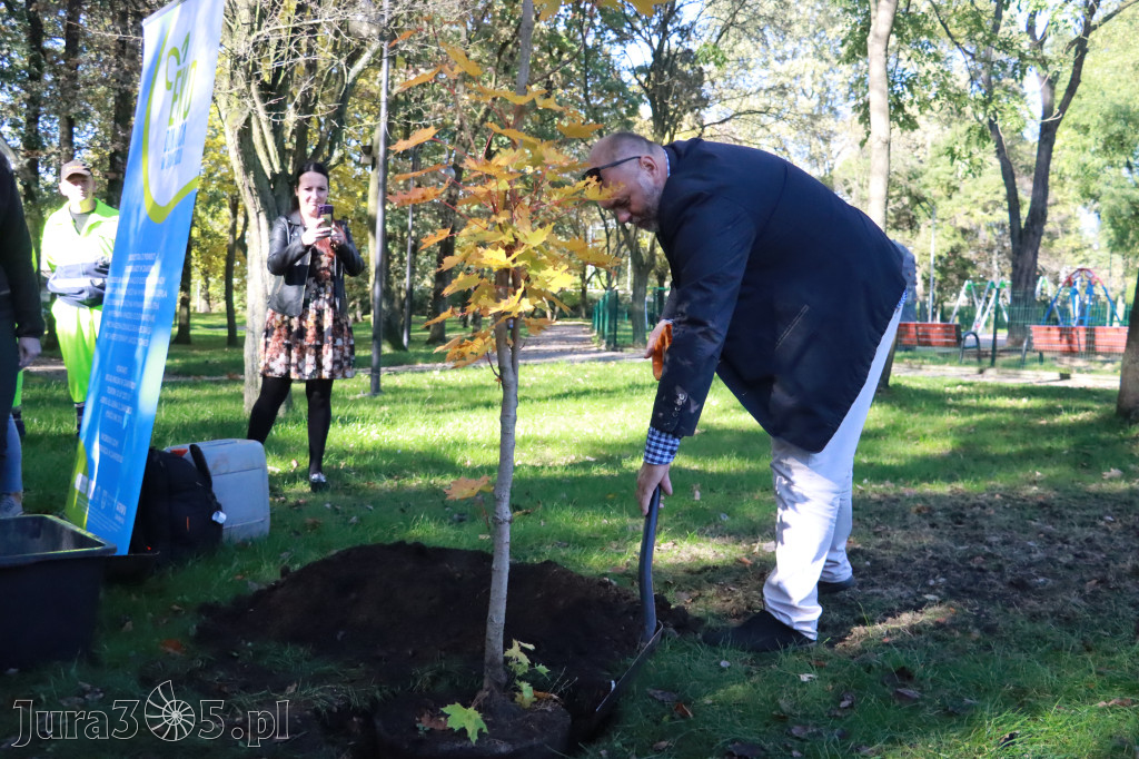 Fotorelacja: Światowy Dzień Drzewa w Zawierciu