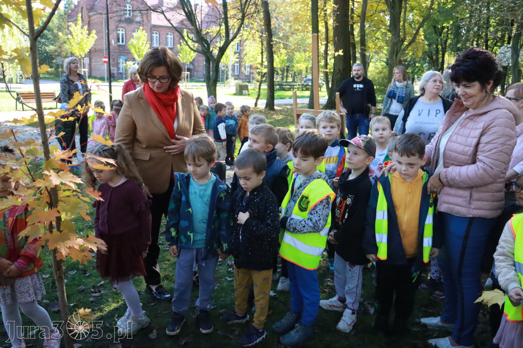 Fotorelacja: Światowy Dzień Drzewa w Zawierciu