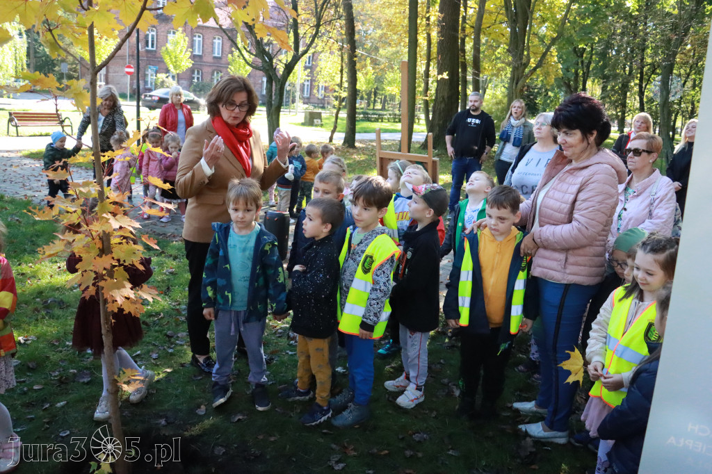 Fotorelacja: Światowy Dzień Drzewa w Zawierciu