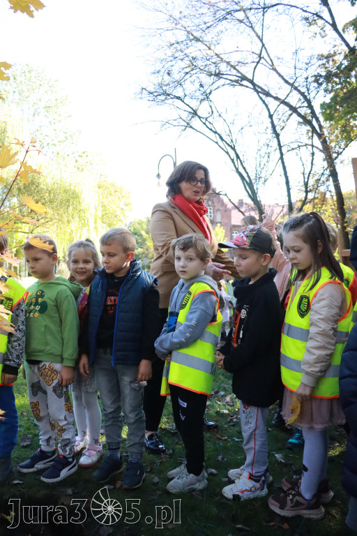 Fotorelacja: Światowy Dzień Drzewa w Zawierciu