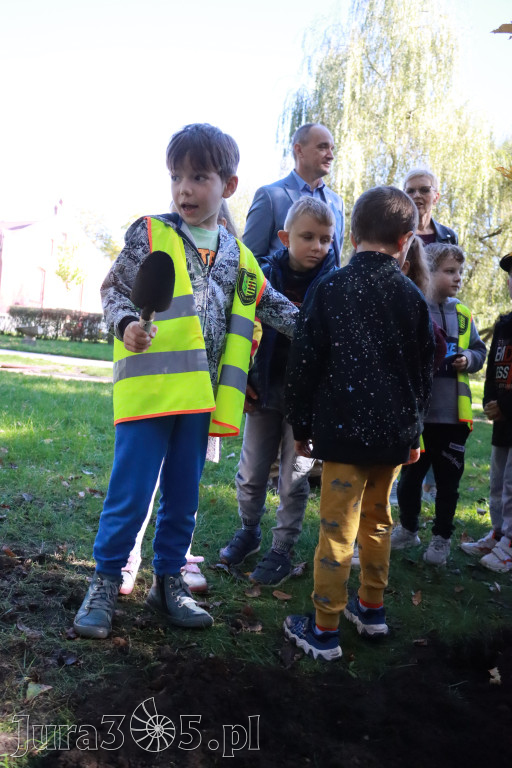 Fotorelacja: Światowy Dzień Drzewa w Zawierciu