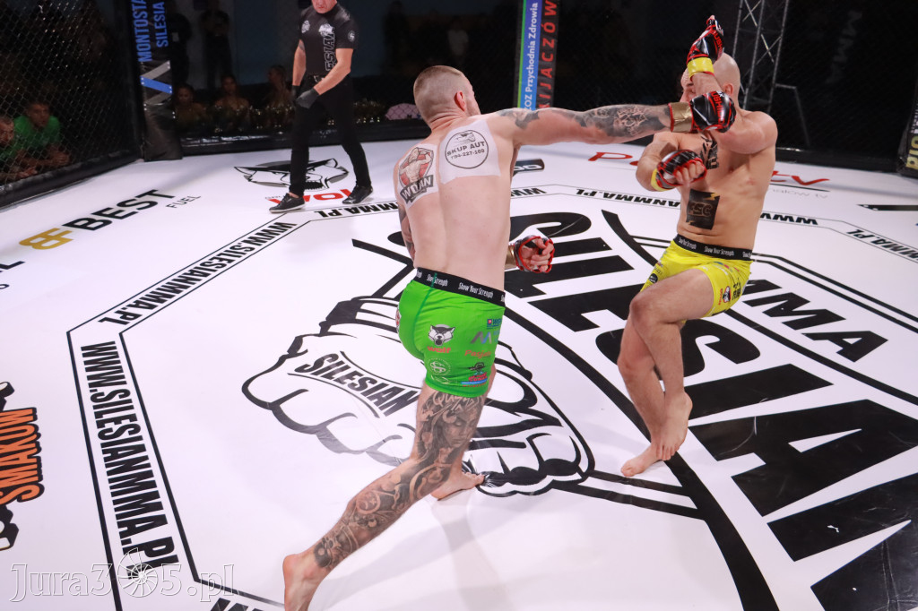 Fotorelacja: 19 Silesian MMA Zawiercie cz. 2