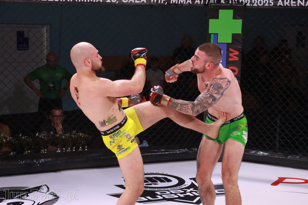 Fotorelacja: 19 Silesian MMA Zawiercie cz. 2