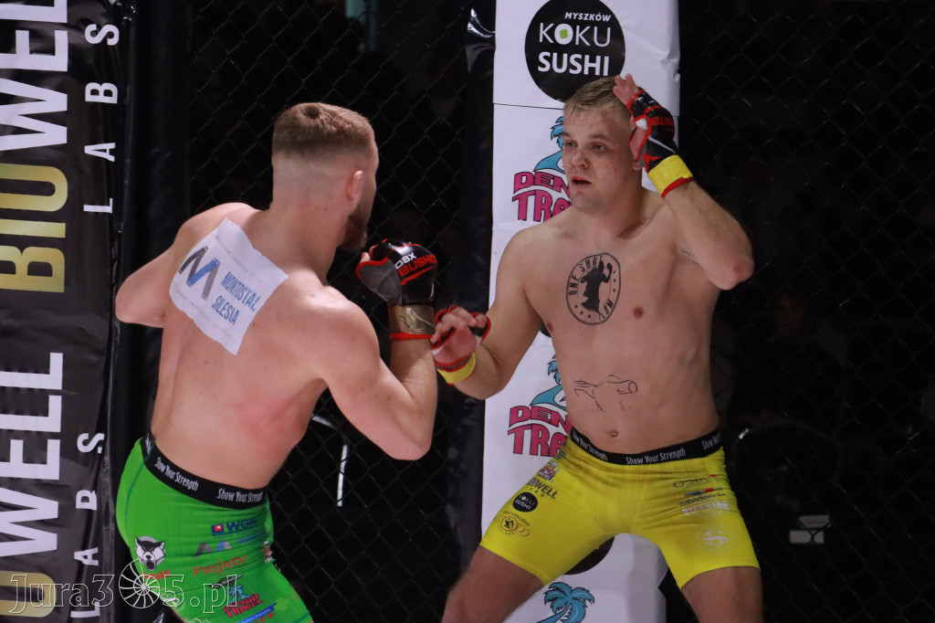 Fotorelacja: 19 Silesian MMA Zawiercie cz. 2