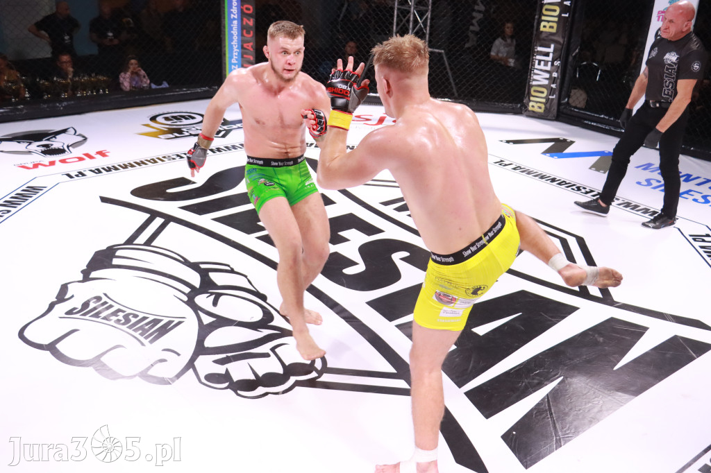 Fotorelacja: 19 Silesian MMA Zawiercie cz. 2