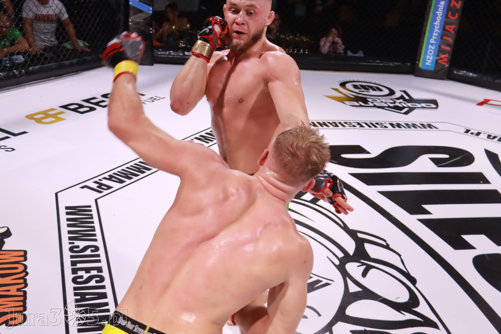 Fotorelacja: 19 Silesian MMA Zawiercie cz. 2
