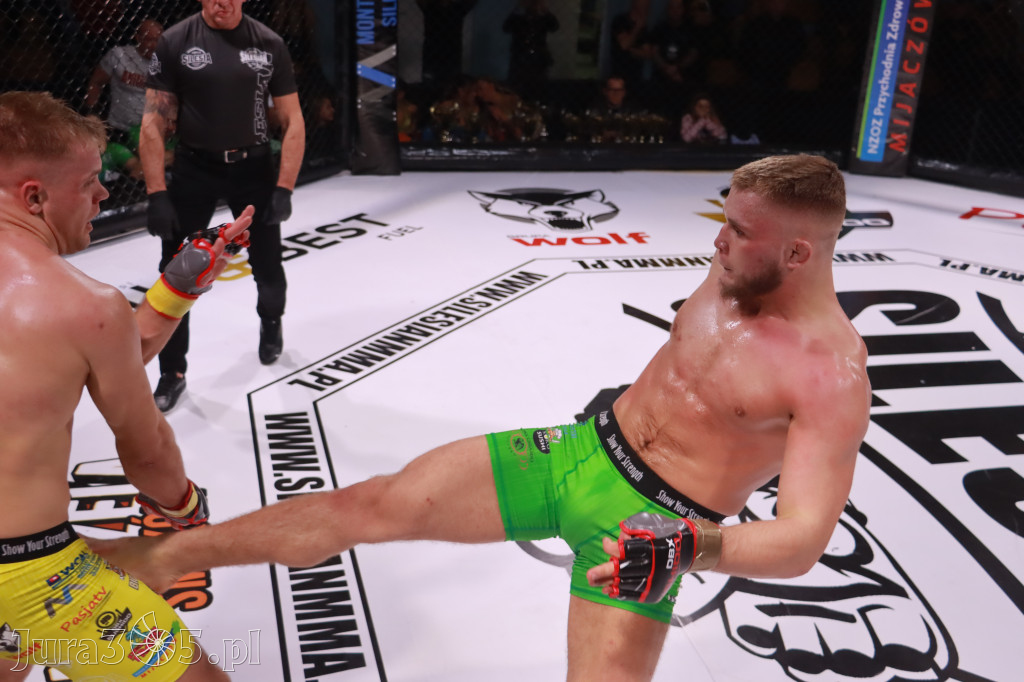 Fotorelacja: 19 Silesian MMA Zawiercie cz. 2