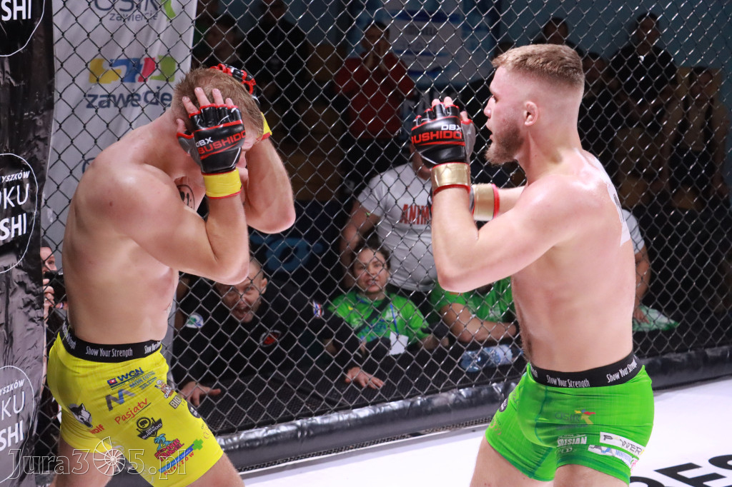Fotorelacja: 19 Silesian MMA Zawiercie cz. 2