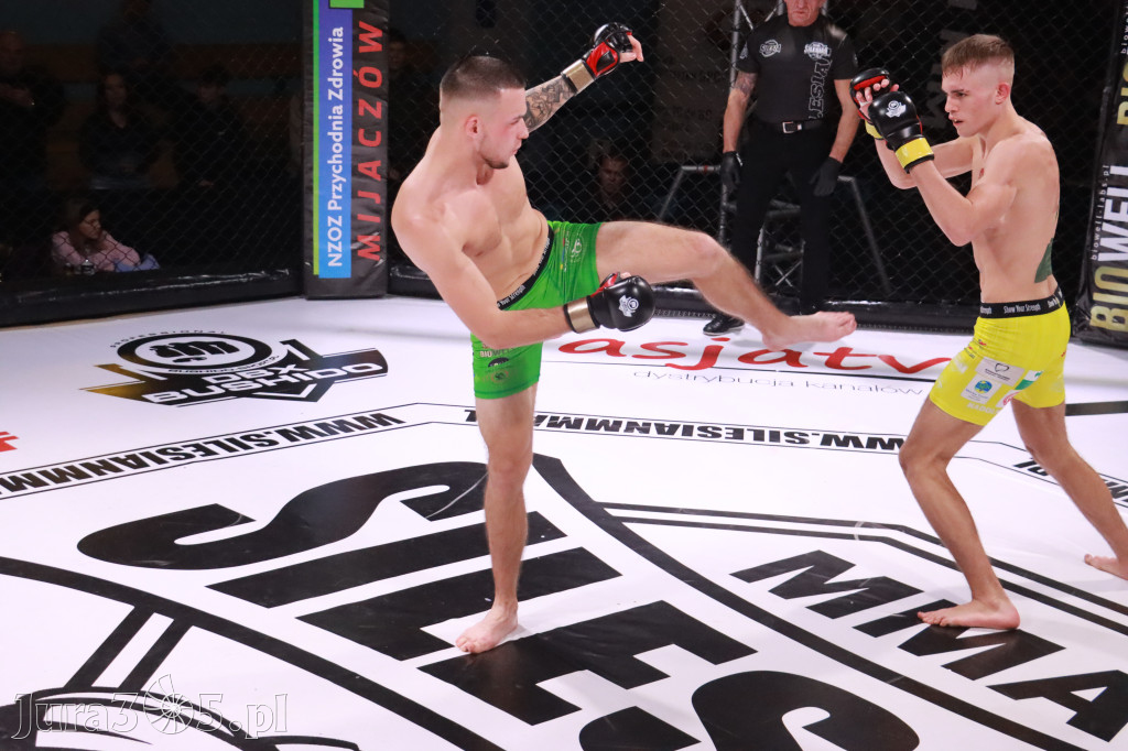Fotorelacja: 19 Silesian MMA Zawiercie cz. 2