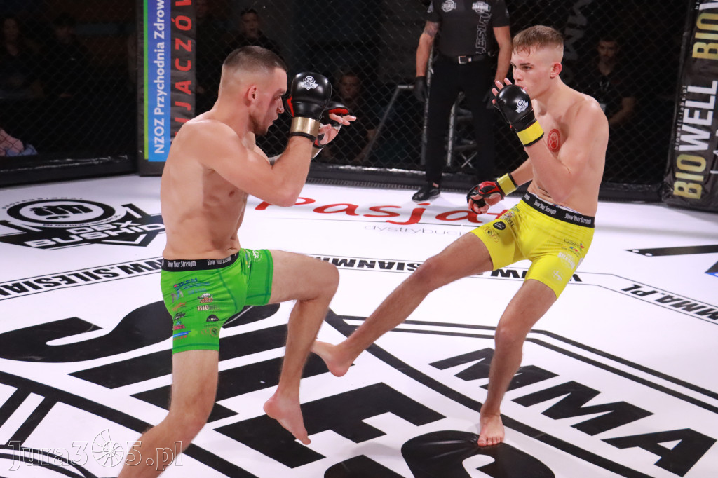 Fotorelacja: 19 Silesian MMA Zawiercie cz. 2