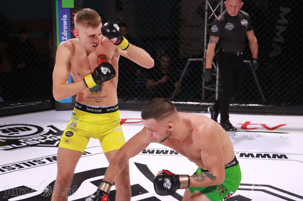 Fotorelacja: 19 Silesian MMA Zawiercie cz. 2