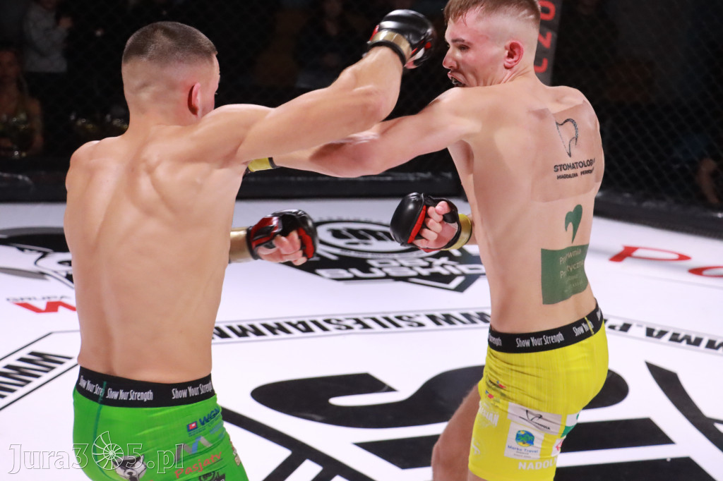 Fotorelacja: 19 Silesian MMA Zawiercie cz. 2