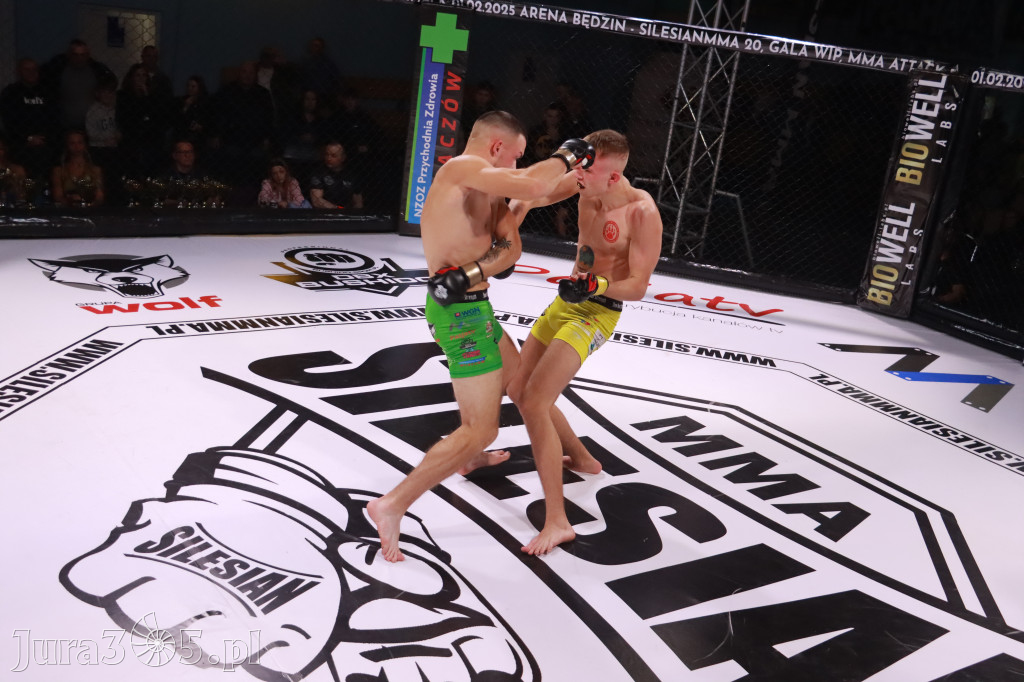 Fotorelacja: 19 Silesian MMA Zawiercie cz. 2