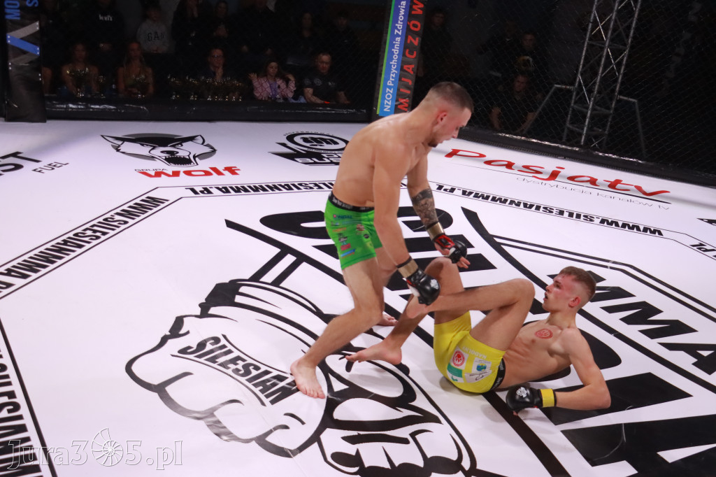 Fotorelacja: 19 Silesian MMA Zawiercie cz. 2