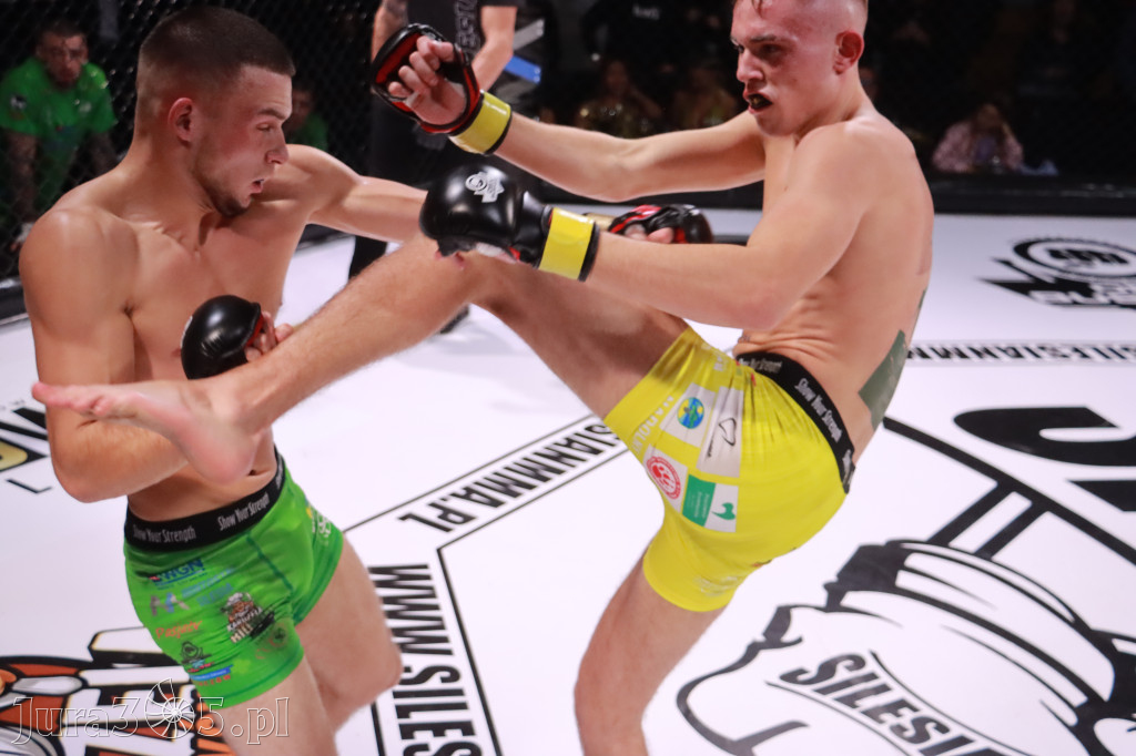 Fotorelacja: 19 Silesian MMA Zawiercie cz. 2