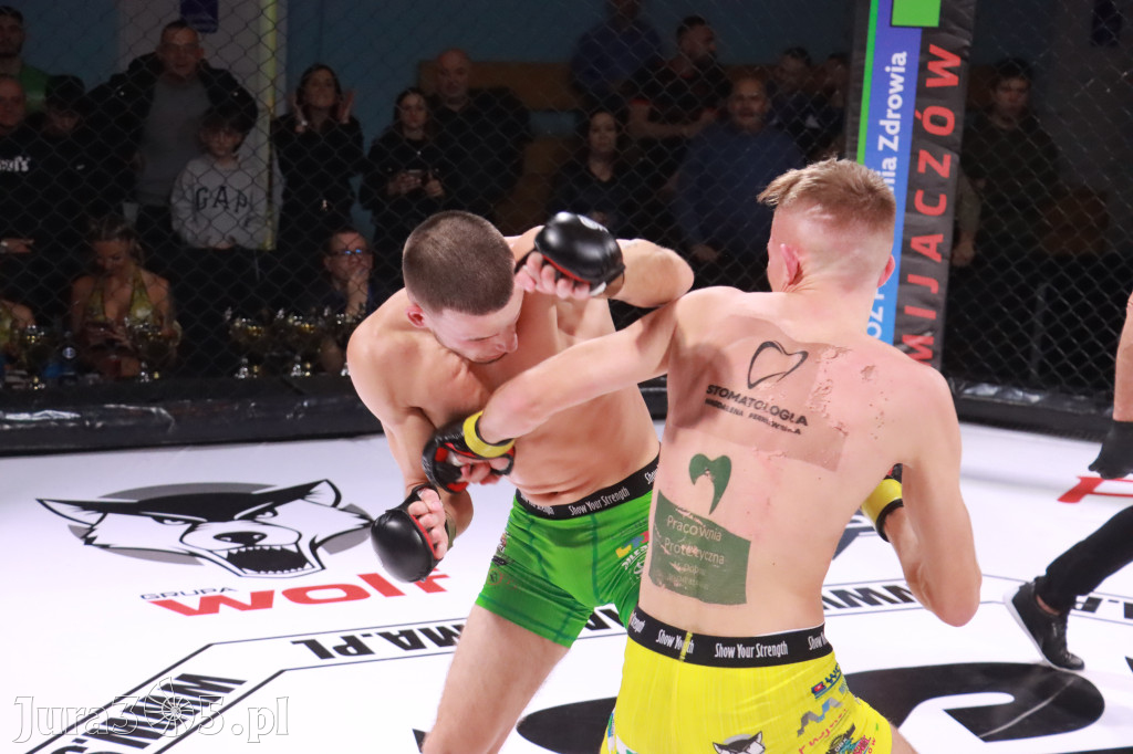 Fotorelacja: 19 Silesian MMA Zawiercie cz. 2