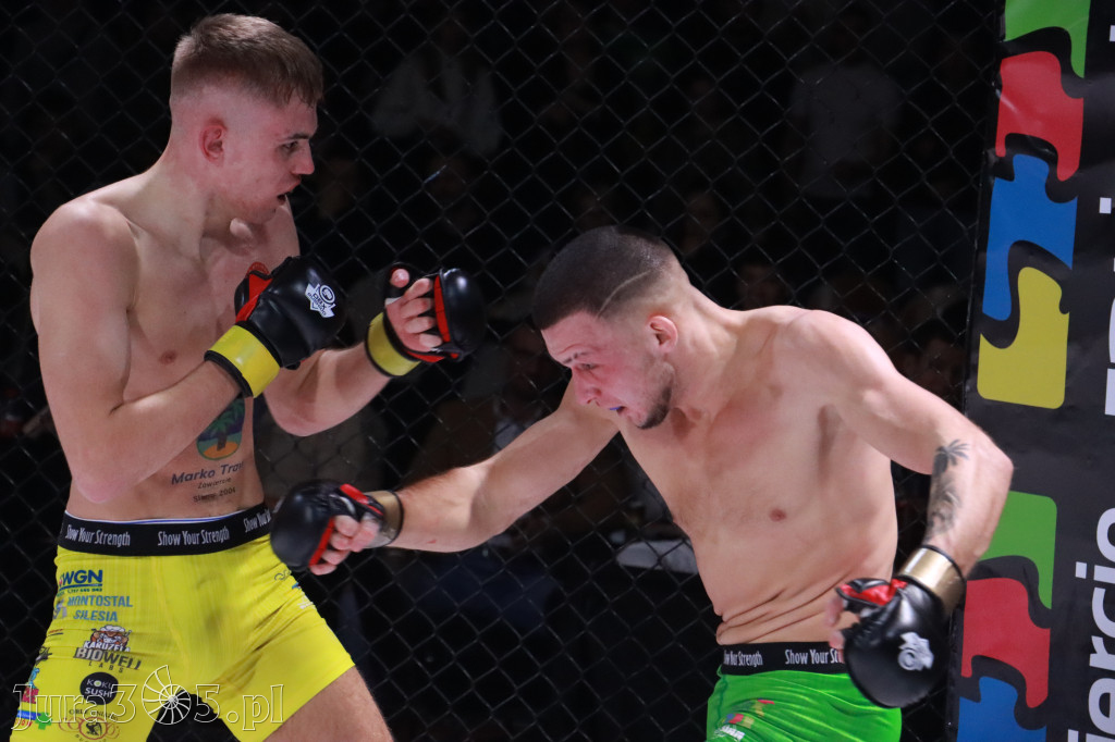 Fotorelacja: 19 Silesian MMA Zawiercie cz. 2