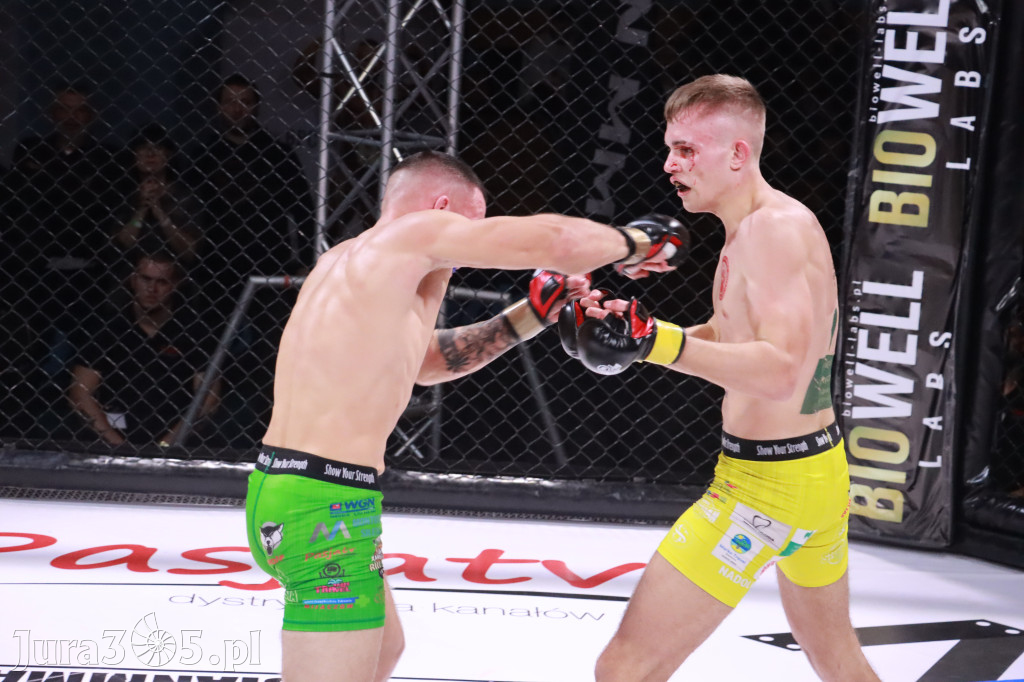 Fotorelacja: 19 Silesian MMA Zawiercie cz. 2
